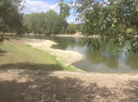 Loire à Chalonnes