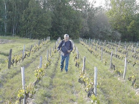 Michel Augé dans ses vignes