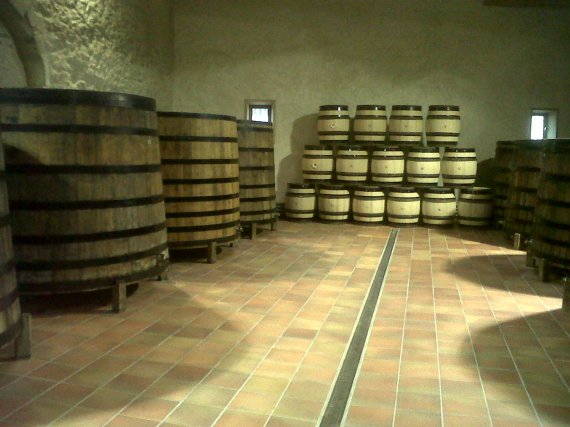 Cave de Bichot à Nuits-Saint-Georges