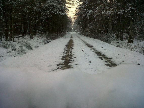 bois de chinon en hiver