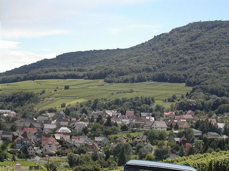 Vignes alsaciennes Bolenberg